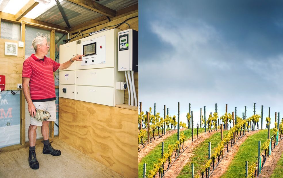 Alton Downs vineyard SmartAudit for water efficiency