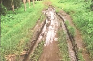 The Gaua Tractor project - the roads on Gaua