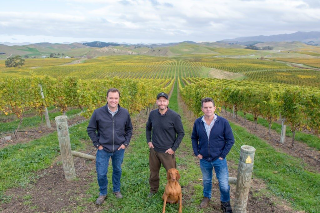 Rapaura Springs Blind River system upgrade by SWE (Photo credit Rapaura Springs)